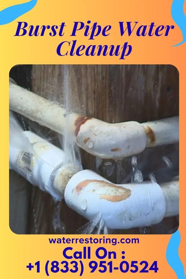 Burst Pipe Water Cleanup in Forty Fort, PA