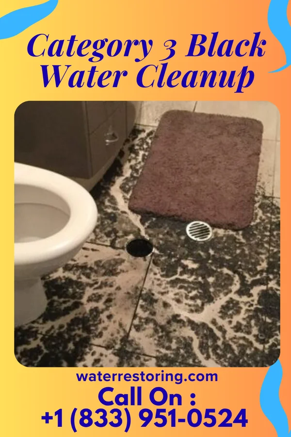 Category 3 Black Water Cleanup in Forty Fort, PA