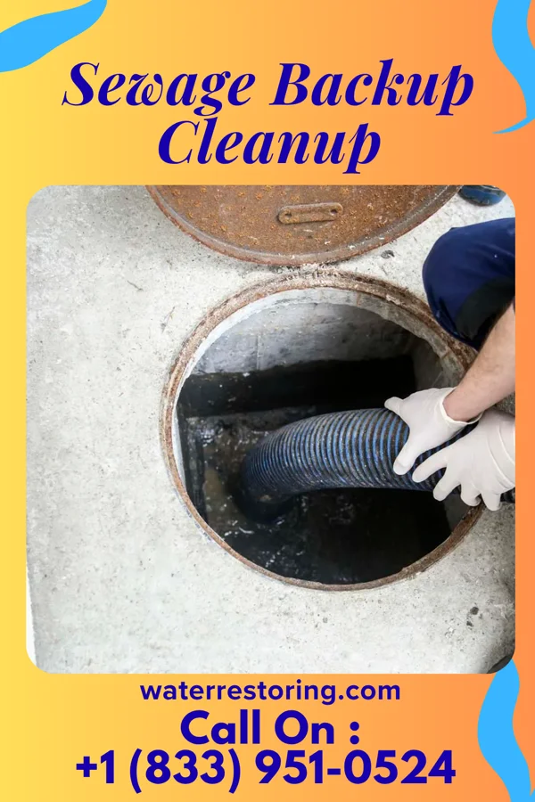 Sewage Backup Cleanup in Forty Fort, PA