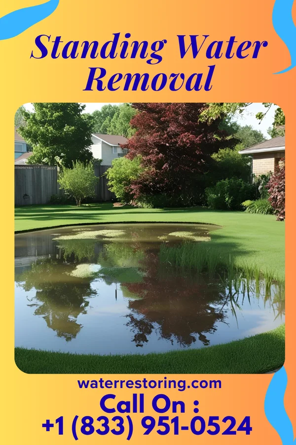 Standing Water Removal in Forty Fort, PA
